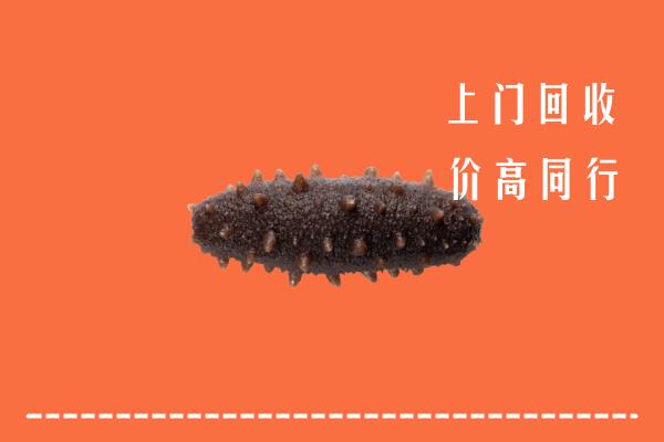 玉树高价回收海参